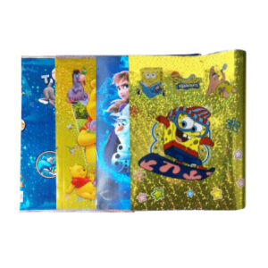 Protège-Cahier Fantaisie 17*22 Primo (12)